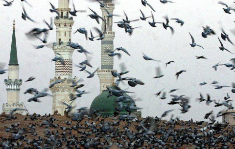 Detalle de la Mezquita del Profeta en Medina